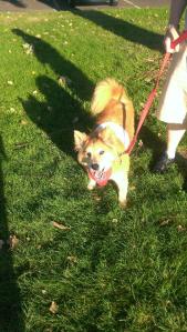 Her last morning in the park.