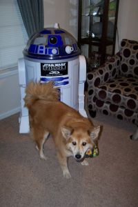 Even R2 needed to be herded into the corner.